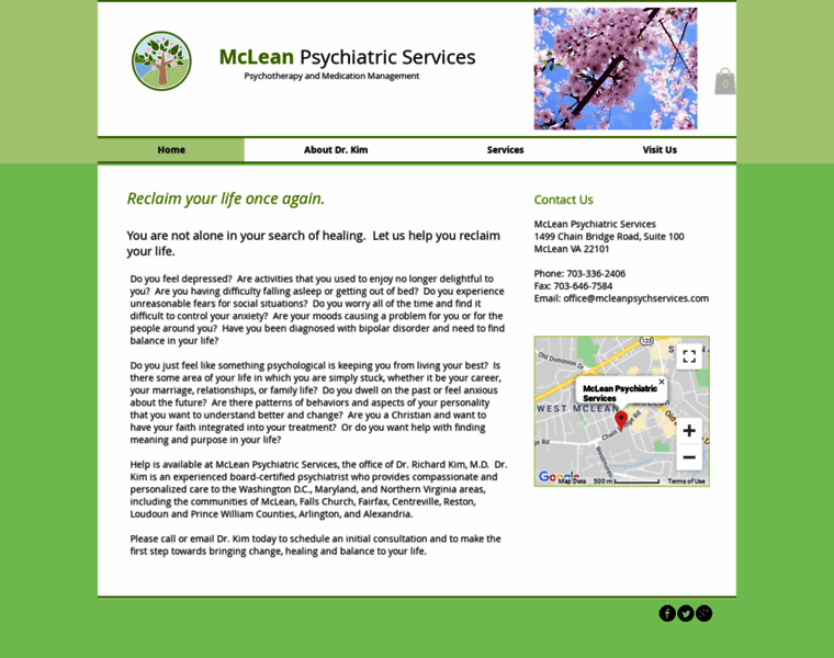 Mcleanpsychservices.com thumbnail