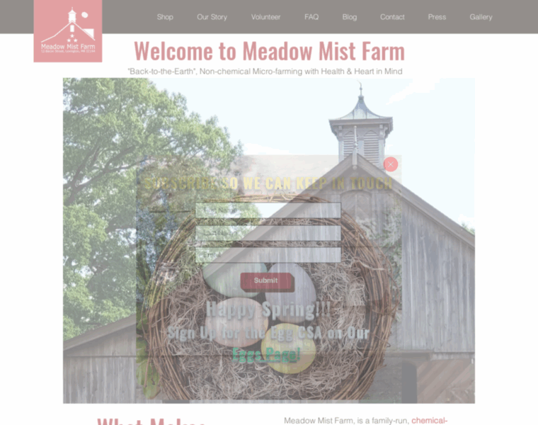 Meadow-mist.com thumbnail