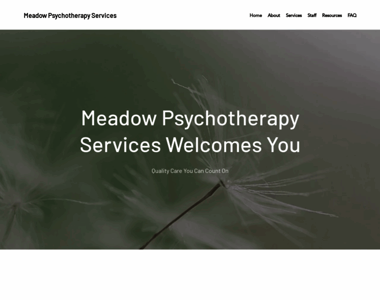 Meadowpsychotherapy.com thumbnail