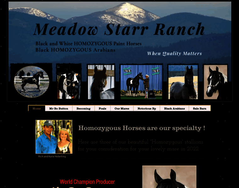 Meadowstarr-ranch.com thumbnail