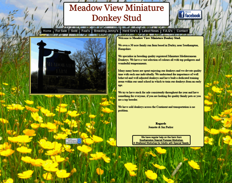 Meadowviewminiatures.co.uk thumbnail