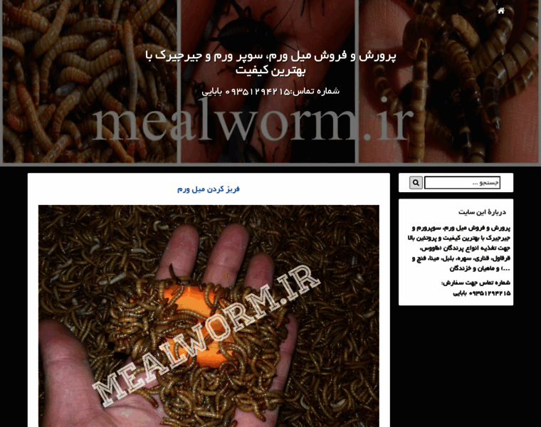 Mealworm.ir thumbnail