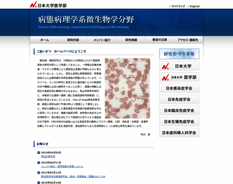 Med-microbe.jp thumbnail