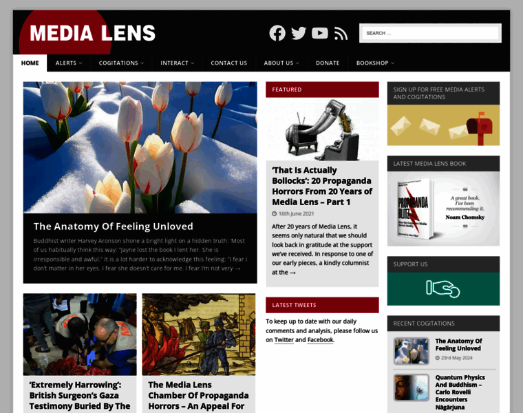 Medialens.org thumbnail