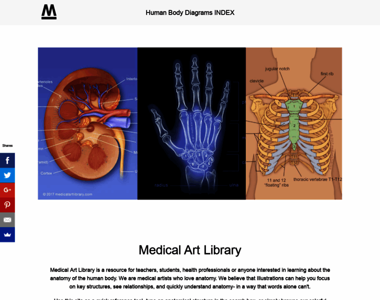Medicalartlibrary.com thumbnail