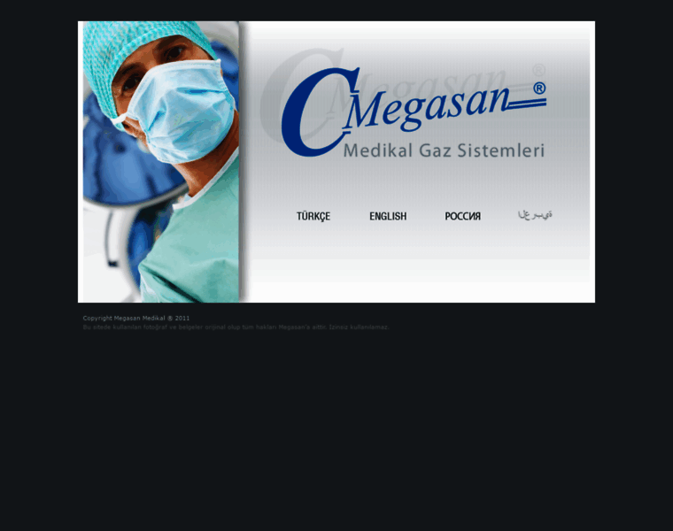 Medicalgassystems.com thumbnail