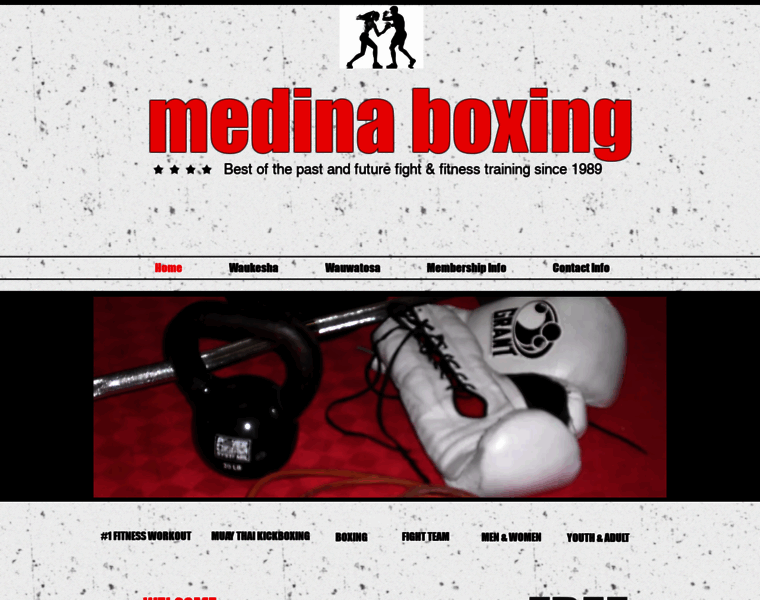 Medinaboxing.com thumbnail