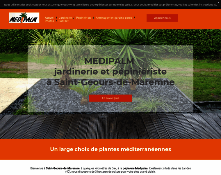Medipalm-landes.fr thumbnail
