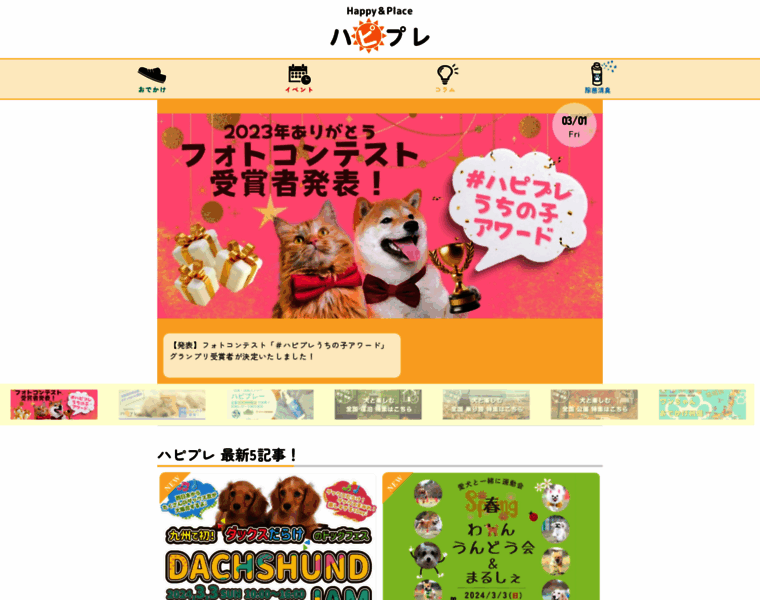 Medistpet.jp thumbnail