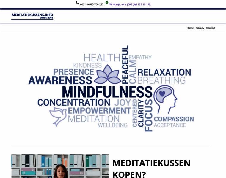Meditatiekussens.info thumbnail