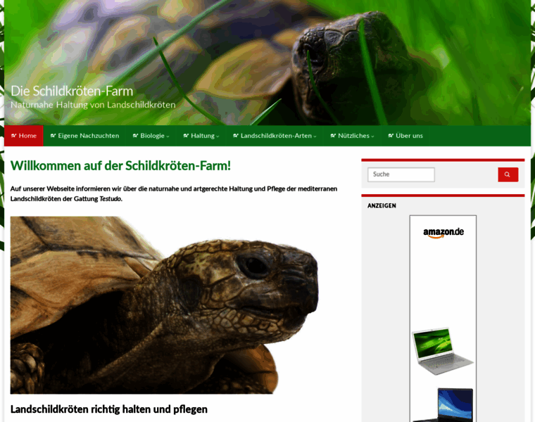 Mediterrane-landschildkroeten.de thumbnail Mediterrane-landschildkroeten.de thumbnail