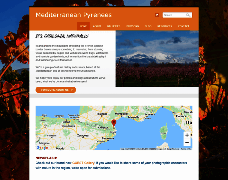 Mediterraneanpyrenees.com thumbnail