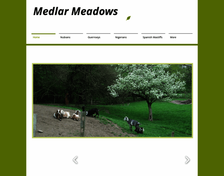 Medlarmeadows.com thumbnail