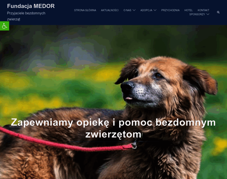 Medor.org thumbnail
