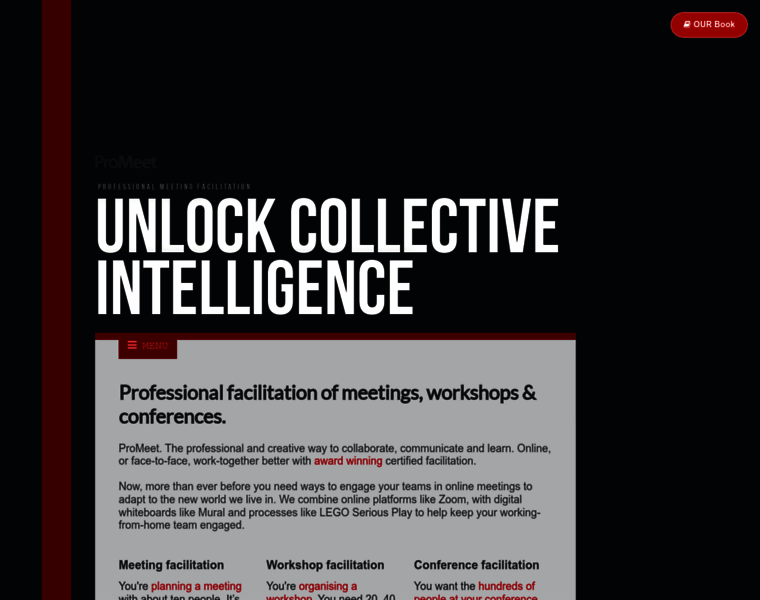Meeting-facilitation.co.uk thumbnail