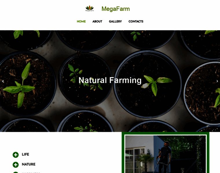 Megafarm.org thumbnail