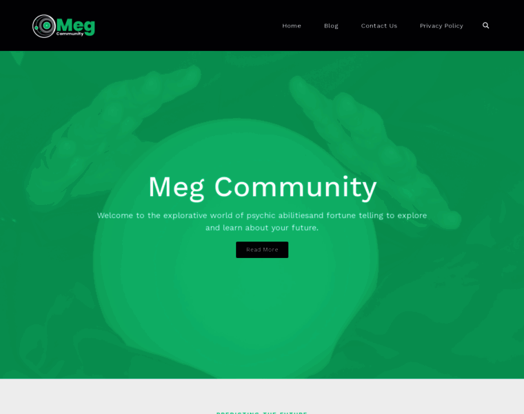Megcommunity.org thumbnail