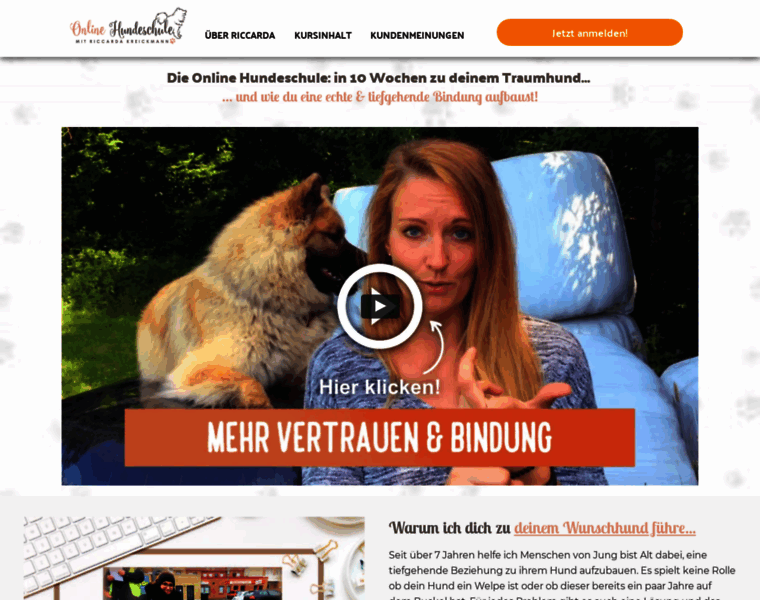 Meine-onlinehundeschule.com thumbnail