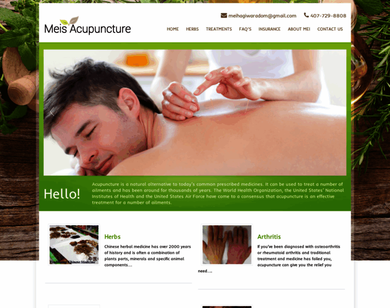 Meisacupuncture.com thumbnail