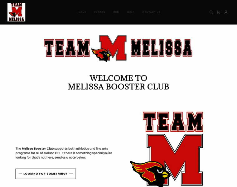 Melissaboosterclub.org thumbnail