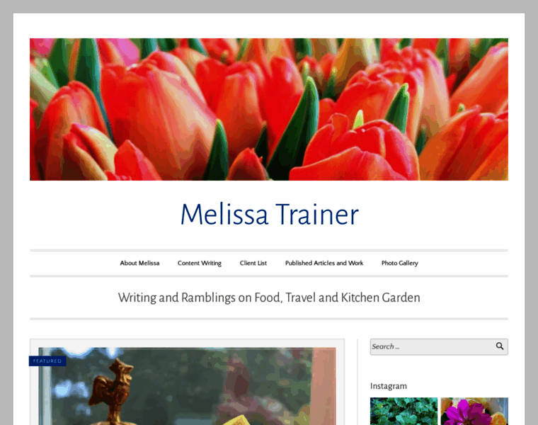 Melissatrainer.com thumbnail