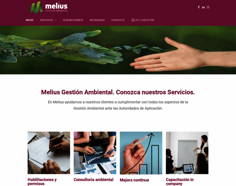 Melius.com.ar thumbnail