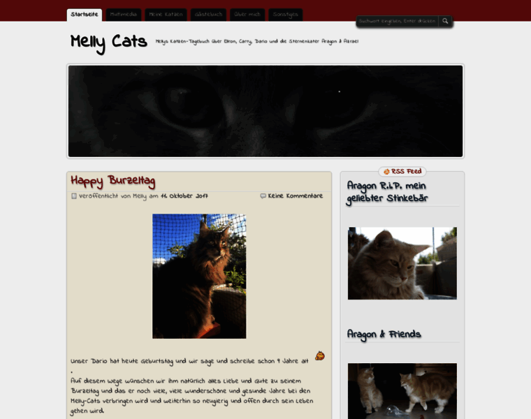 Melly-cats.de thumbnail