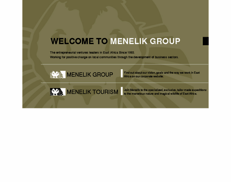 Menelikgroup.com thumbnail