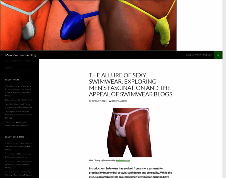 Mensswimwearblog.com thumbnail