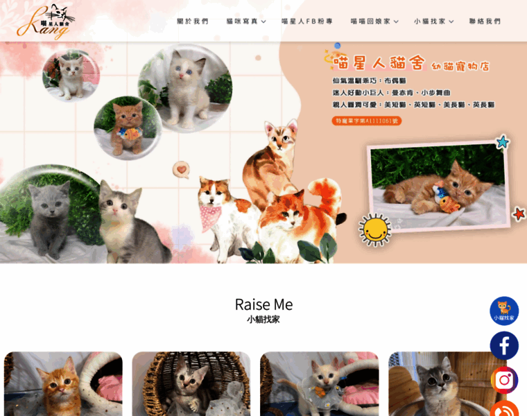 Meow800kkazh.com thumbnail