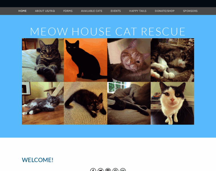 Meowhousecatrescue.com thumbnail