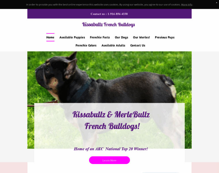 Merlefrenchbulldogs.com thumbnail