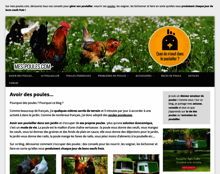 Mes-poules.com thumbnail
