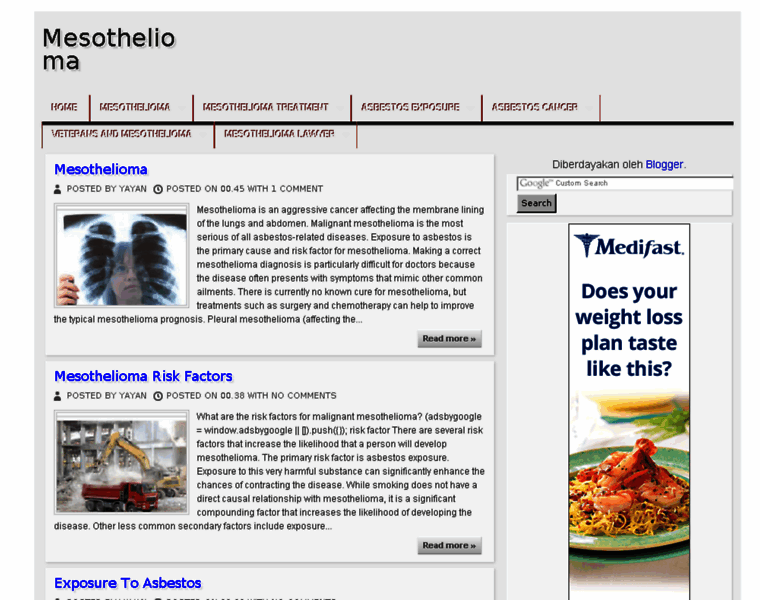 Meshothelioma.com thumbnail