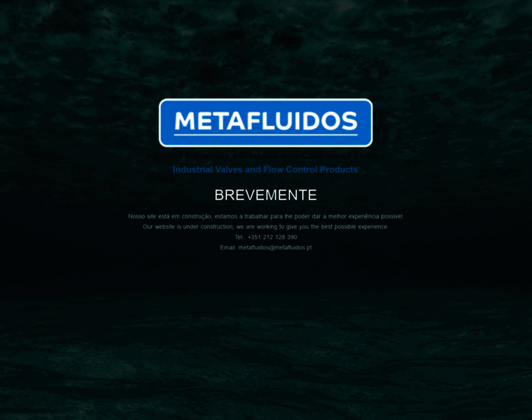 Metafluidos.pt thumbnail