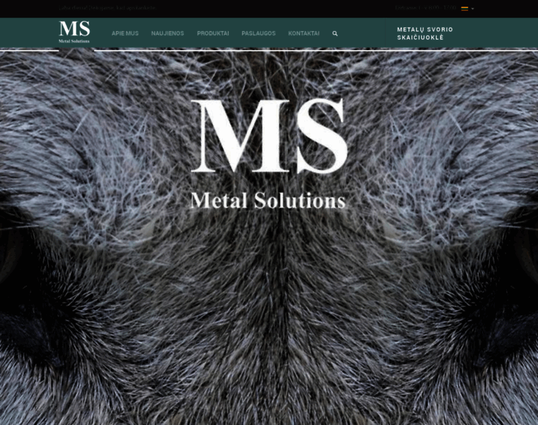 Metal-solutions.lt thumbnail