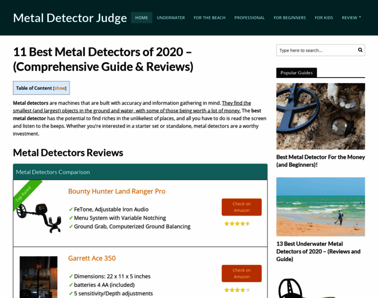 Metaldetectorjudge.com thumbnail