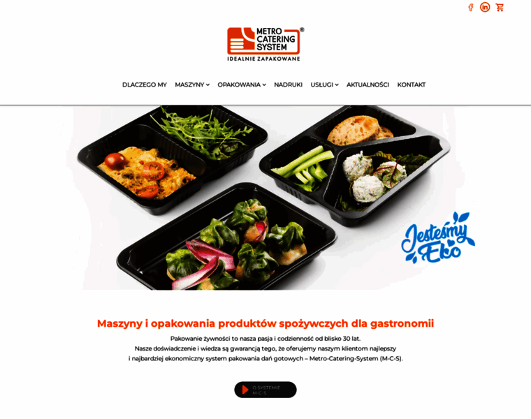 Metro-catering-system.pl thumbnail
