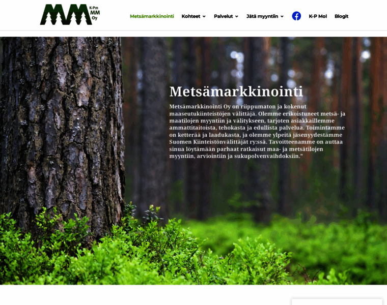 Metsamarkkinointi.fi thumbnail