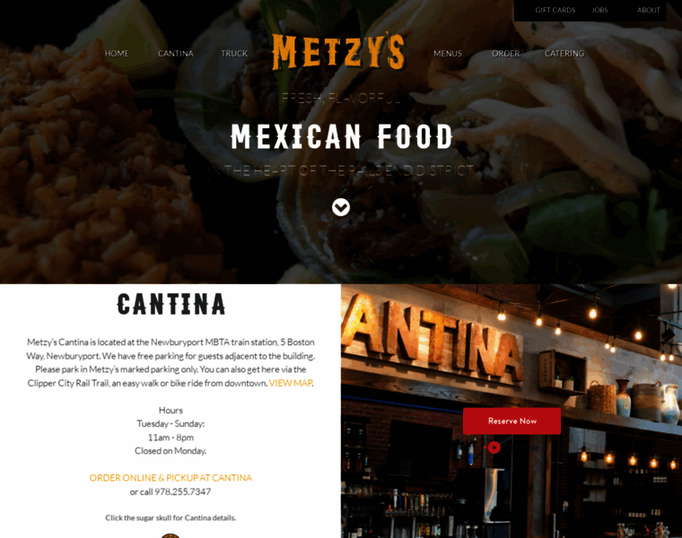 Metzys.com thumbnail