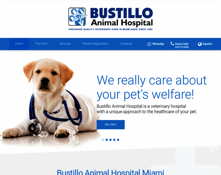 Miami-animal-hospital.com thumbnail