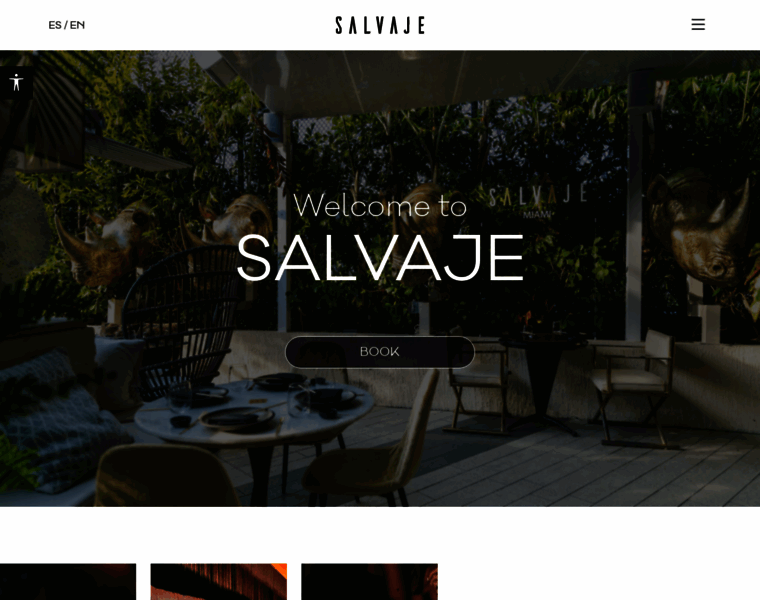 Miami.salvaje.world thumbnail Miami.salvaje.world thumbnail