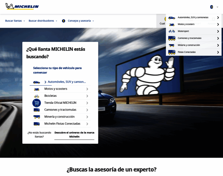 Michelin.com.co thumbnail