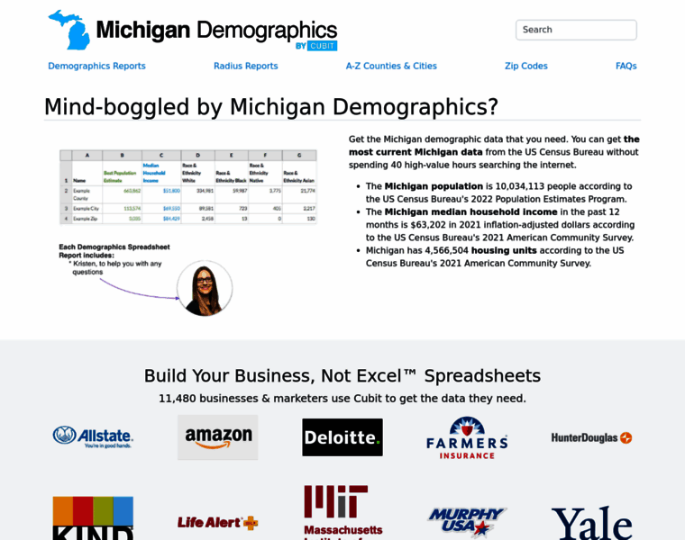 Michigan-demographics.com thumbnail