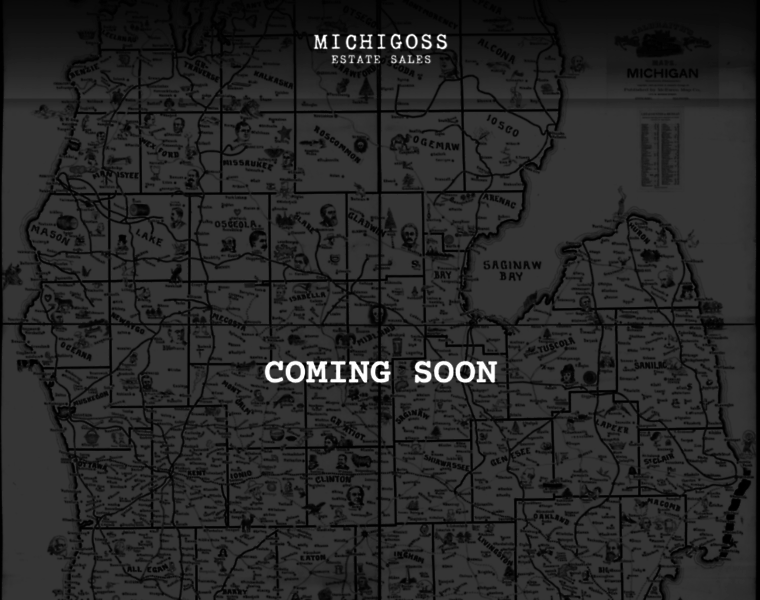 Michigoss.com thumbnail