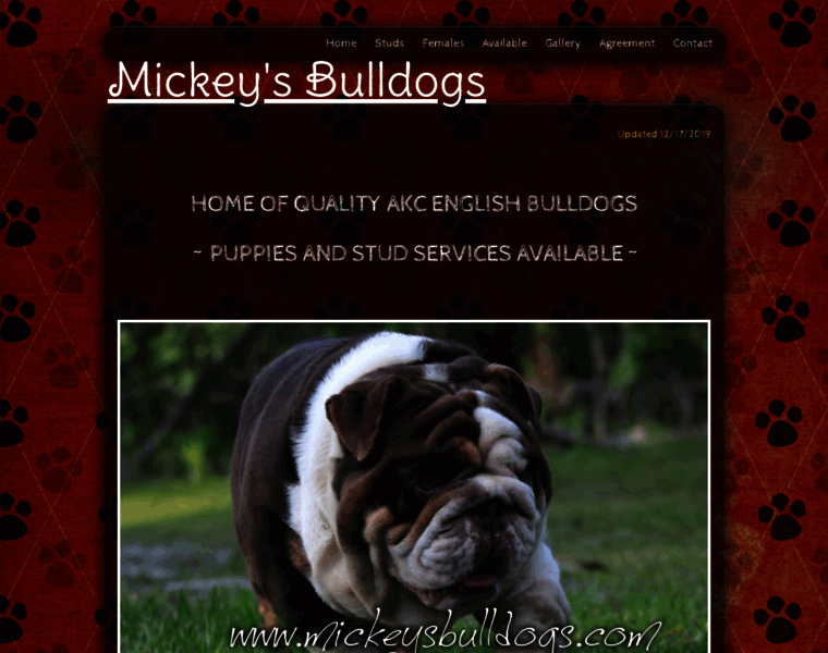 Mickeysbulldogs.com thumbnail