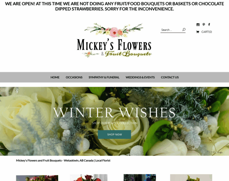 Mickeysflowers.com thumbnail
