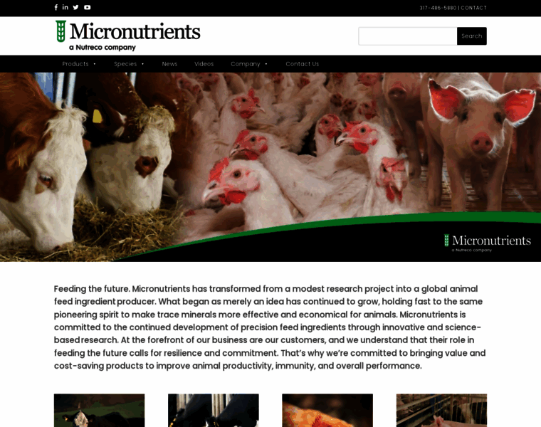 Micro.net thumbnail Micro.net thumbnail