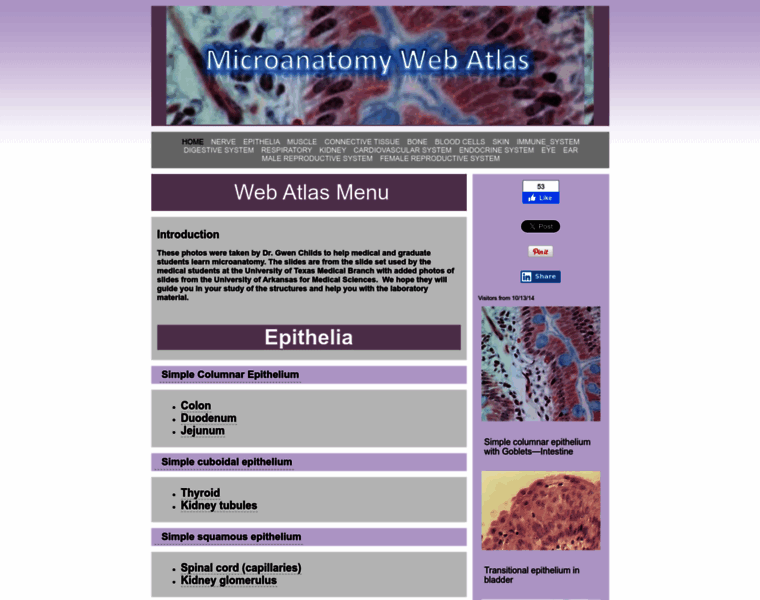 Microanatomy.net thumbnail