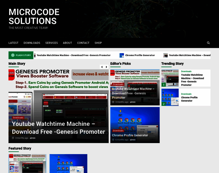 Microcodesolutions.net thumbnail